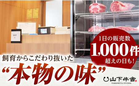 【全12回定期便】佐賀牛 A5赤身 HAD101 赤身 BBQ