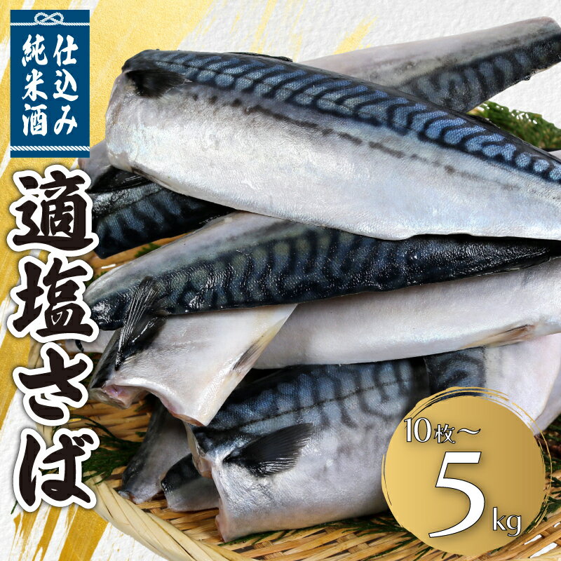 【ふるさと納税】 適塩さば 純米酒仕込み 【選べる容量】 10枚〜5kg