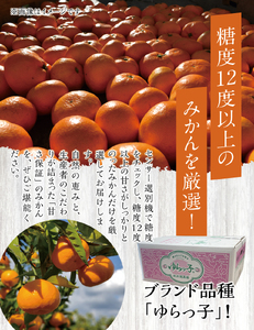 温州みかん「ゆらっ子」5kg【先行予約】※2025年12月初旬頃～順次発送予定(お届け日指定不可) / みかんみかんみかん 温州 和歌山県 由良町 ﾐｶﾝ【jahd003】