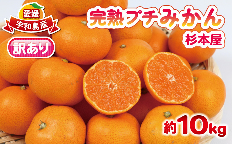 
            みかん 訳あり 完熟 プチ みかん 早生みかん 10kg 杉本屋 完熟みかん mikan わけあり 小玉みかん 小みかん 愛媛みかん 愛媛蜜柑 愛媛ミカン 温州 早生温州 温州みかん 果物 くだもの フルーツ 柑橘 みかん 蜜柑 産地直送 数量限定 国産 愛媛 宇和島 B018-143018
          