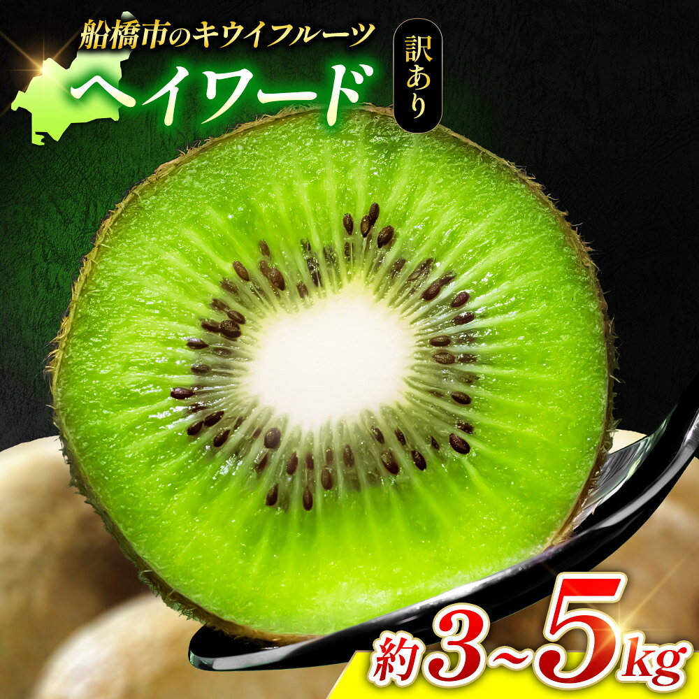 【ふるさと納税】 キウイ 約 3kg～ 約 5kg 訳あり キウイフルーツ ヘイワード 数量限定 国産 フルーツ 果物 食物繊維 朝ごはん デザート ヘルシー 酸味 甘い くだもの 朝食 スムージー ヨーグルト 訳アリ 栄養補給 期間限定