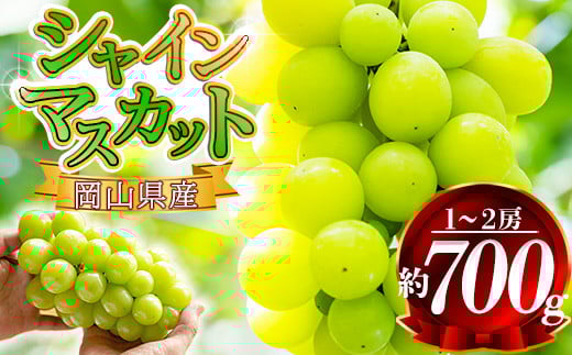 【2025年先行予約】岡山県産 シャインマスカット 約700g前後（1房～2房） 訳あり 優品 / 家庭用 岡山 岡山県 晴王 はれおう 葡萄 ぶどう 果物 くだもの フルーツ 訳あり 700g 1房 2房  2025年8月下旬～9月中旬受付順に発送予定/