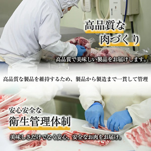 鹿児島黒豚 ハンバーグ 2種 計840g デミグラス トマトソース 【ナンチク】_y460