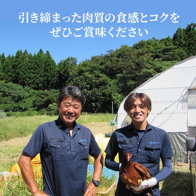 秋田県産比内地鶏肉900g(150g×6袋 小分け モモ ムネ 味付け無し) お肉 