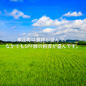 SPF豚のローストポーク(タレ付き) 750g(150g×5パック) / 豚 豚肉 SPF豚 SPFポーク ローストポーク