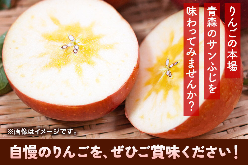 【26年12月発送】りんご サンふじ【贈答用】約10kg 平均糖度13度以上 青森県 弘前市 果物 フルーツ 林檎 リンゴ くだもの 贈り物 ギフト [先行予約 産地直送 アップル 青森県 弘前市]