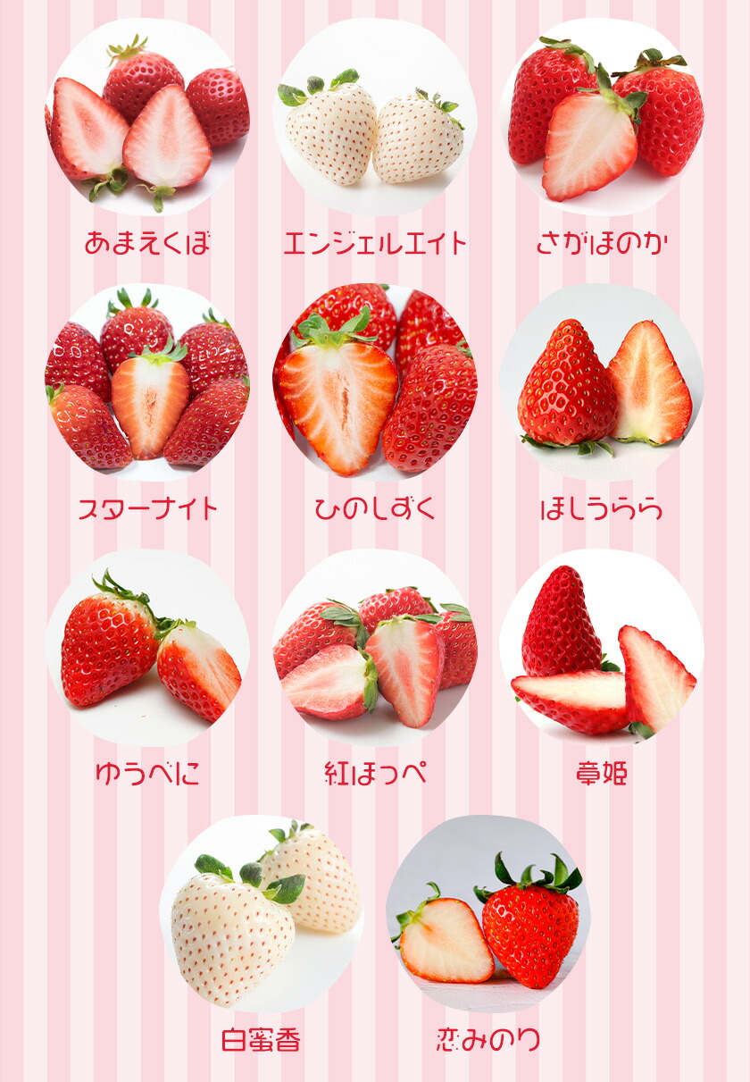 いちご 七楽の郷 4パック 1000g 旬の品種《3月上旬-5月中旬頃出荷》ゆうべに 紅ほっぺ あまえくぼ エンジェルエイト さがほのか スターナイト ひのしずく ほしうらら 章姫 白蜜香 恋みのり 