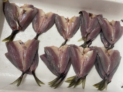 アジフライ 国産 個包装 8枚入り 魚屋さんが作った 自家製 吉井鮮魚｜A63