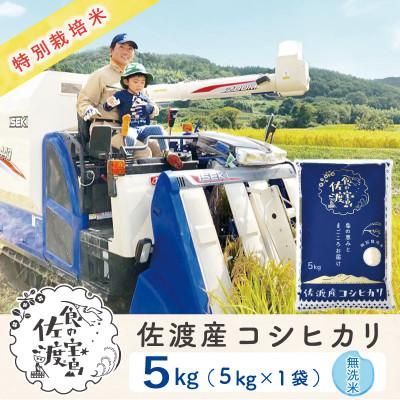 ふるさと納税 佐渡市 佐渡島産コシヒカリ 無洗米5Kg 土屋農園 農家直送 令和7年産 特別栽培米【食の宝島佐渡】