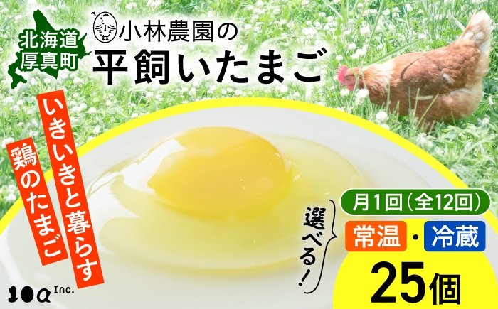 
                  【全12回定期便】小林農園の平飼いたまご・無投薬 25個《厚真町》【テンアール株式会社】 たまご 卵 玉子 鶏卵 生卵 平飼い 有精卵 定期便 6か月 北海道 [AXAN006]
                