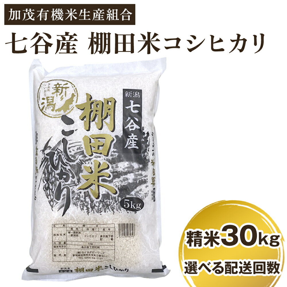 【ふるさと納税】【令和7年産新米先行予約】 新潟県加茂市 七谷産 棚田米コシヒカリ 精米30kg（5kg×6） 選べる配送回数（通常配送1回〜定期便12回） 《10月中旬から順次出荷》 白米 加茂有機米生産組合