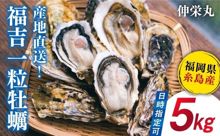 
            【加熱用】一粒牡蠣 カキ 5kg (牡蠣ナイフ付き) 糸島産 福吉 糸島市/伸栄丸 カキの佐々木 牡蠣  殻付き カキ   [ATH003]
          