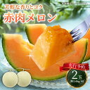 【ふるさと納税】【2025年8月以降順次発送】 赤肉メロン 約1.6kg×2玉 《喜茂別町》【Aコープようてい】 先行予約 数量限定 メロン 赤肉 フルーツ 果物 北海道 産地直送 北海道 北海道 [AJAK004] 13000 13000円