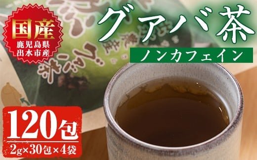 
            i184 ＜国内産100%＞出水農産グァバ茶 快然王(30包×4袋)グァバ葉のポリフェノールそのままに！ノンカフェインだから子供から大人まで！   お茶 茶 国産 グァバ葉  ティーパック ノンカフェイン ポリフェノール 血糖値 コレステロール 【出水酒造 izumi-syuzou】
          
