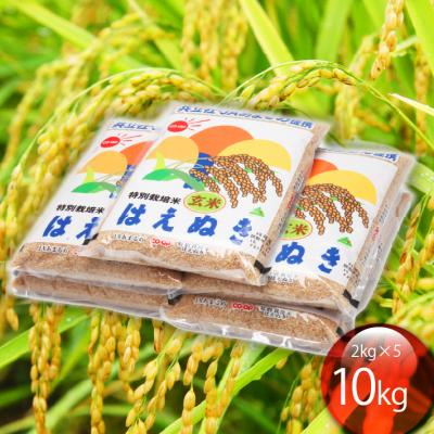 ふるさと納税 庄内町 庄内町産 特別栽培米玄米はえぬき 10kg 2kg×5袋 令和7年産 2025年産 ブランド米