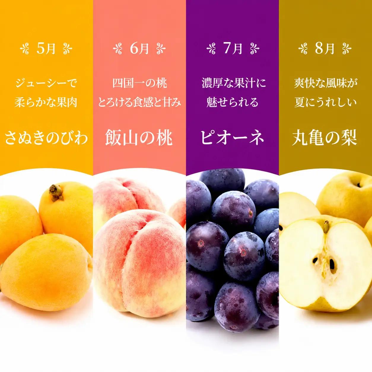 【百果繚乱】【定期便 12ヶ月】 果物定期便 果物定期便 フルーツ