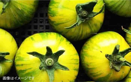 【 全6回 定期便 】【 農薬・化学肥料 不使用 】こだわり 高級希少野菜 セット （ 7品 前後 ） 《糸島》【オーガニックナガミツファーム】 	[AGE017]