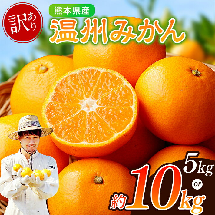 【ふるさと納税】訳あり ノナカ柑橘農園 温州みかん 選べる 5kg or 10kg | 果物 くだもの フルーツ 柑橘 柑橘類 みか 温州家庭用 訳あり 熊本県 玉名市