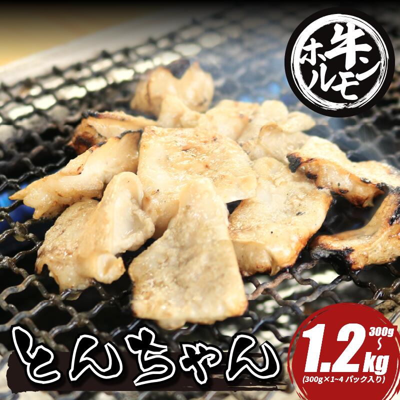 【ふるさと納税】 国産 ホルモン 牛肉 小腸 選べる 容量 300g 600g 1.2kg とんちゃん 焼き肉 モツ モツ焼き 牛ホルモン 焼肉 ホルモン焼き モツ鍋 もつ鍋 ホルモン 鍋 鍋セット 脂 あぶら 甘み 甘味 旨み 旨味 ご飯 ごはん 米 ビール お酒 おかず おつまみ ご飯のおとも