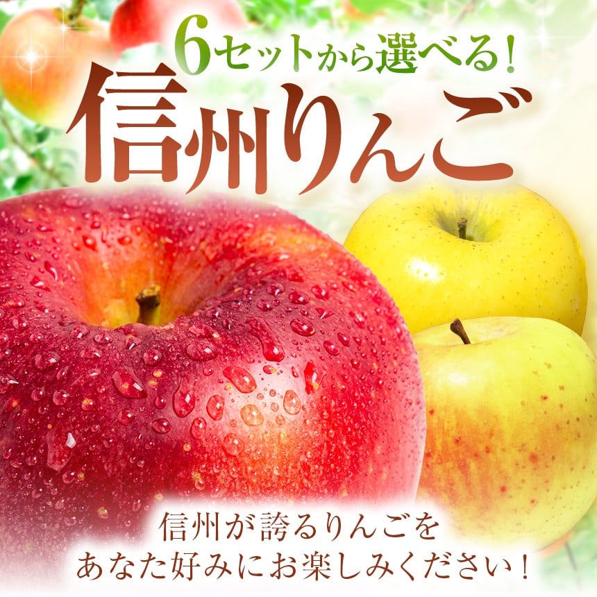 信州から直送！旬のりんごをお好きな品種で♪
