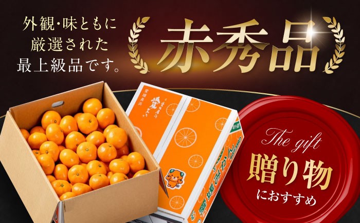 フルーツの代表！冬の定番果物！赤秀 愛媛県産 早生みかん 5㎏箱（50玉～80玉）