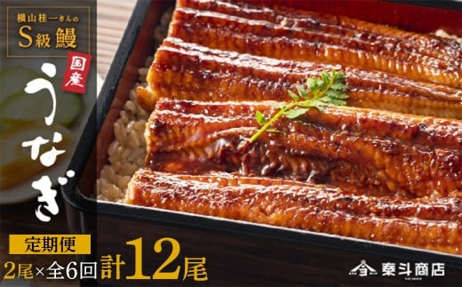 
            【定期便全6回】横山桂一さんのS級鰻　大2尾　×6回配送　計12尾
          