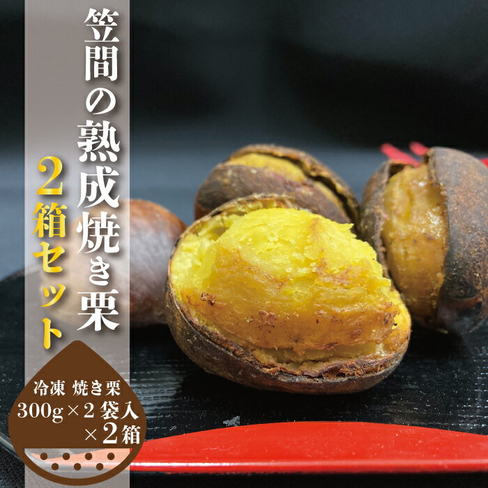【ふるさと納税】焼き栗 約300g×2 2箱 冷凍 熟成