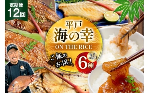 魚 干物 漬け 塩辛 ごはんのお供 塩干し みりん干し 漬け 塩辛 セット 12回 定期便 [末弘丸 長崎県 平戸市 hr42bgy420443] サバ アジ イワシ イリコ アゴ 平戸なつ香 塩干 みりん干 漬け いかの塩辛 無添加 ギフト