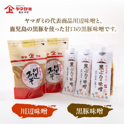 ふるさと納税 南九州市 ヤマガミ黒ぶたの味噌・川辺味噌セット |  | 01