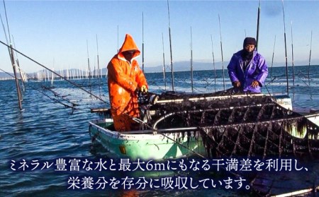 【有明海産のり】「海苔屋の便り」6本詰め合わせ（味付のり×2個・焼のり×2個・塩のり×2個）【八丁屋】佐賀海苔 初摘み[HBR014]