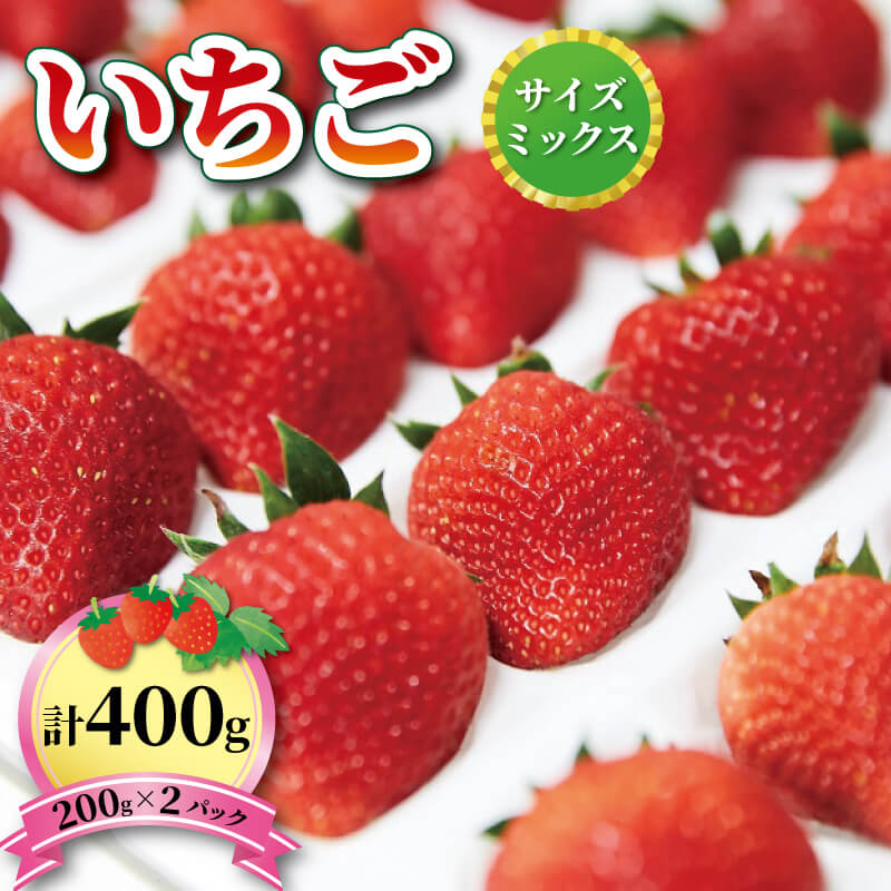 【ふるさと納税】 いちご 1種 400g ( 200g × 2 ) 6～12月お届け 品種おまかせ フルーツ 果物 苺 イチゴ なつあかり 信大BS8-9 夏のしずく 夏の輝 すずあかね リアスター夏苺 夏いちご 三陸産 大船渡 国産 期間限定 季節限定