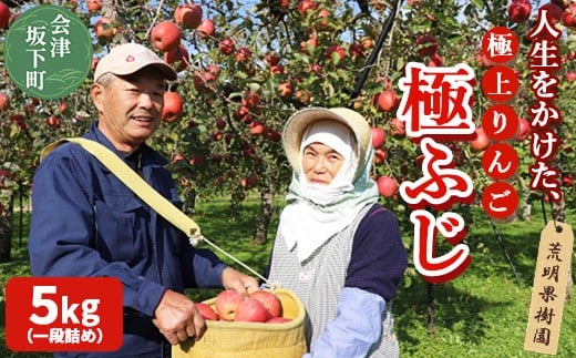 17-I　[予約開始！]　荒明果樹園　人生をかけた、極上りんご（極ふじ）5kg（一段詰め） ｜ りんご リンゴ 林檎 果物 くだもの フルーツ 福島県 会津坂下町　※2025年11月上旬頃より順次発送予定