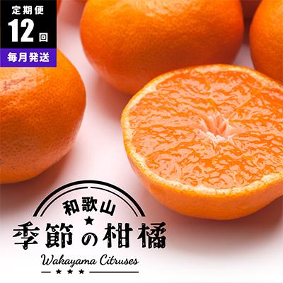ふるさと納税 印南町 【発送月固定定期便】季節の柑橘定期便A【フルーツ定期便】【和歌山県有田】全12回