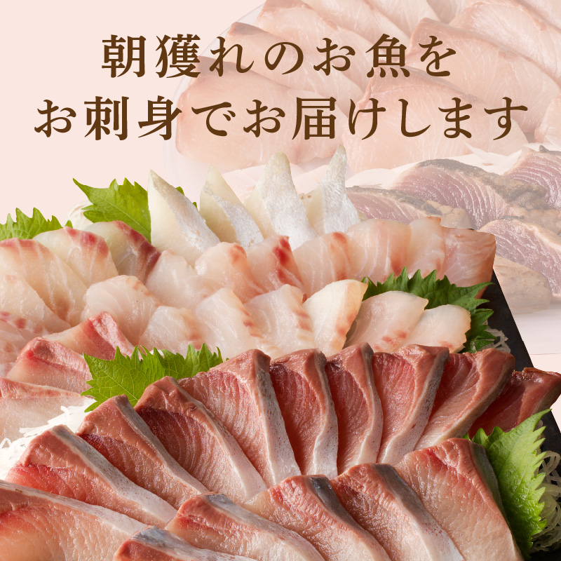 【12ヶ月定期便】大和のこだわり漁師のお刺身4人前 N072-YG0181_1