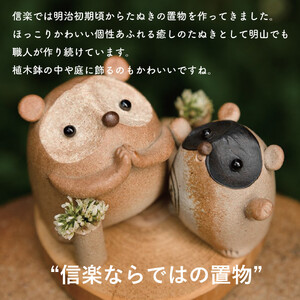 おねがいたぬき(小)　hc-15【信楽焼・明山】