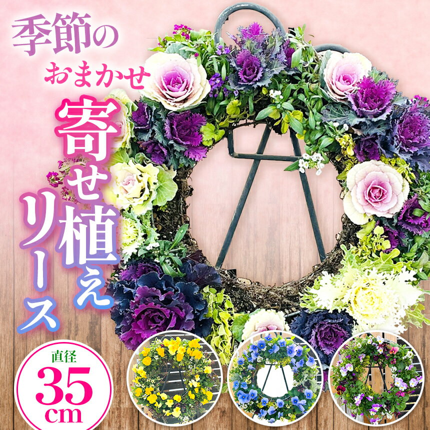 【ふるさと納税】季節のお花の寄せ植えリース35センチ | 季節 四季 春夏秋冬 花 苗 フラワー リース 寄せ植え 便利 水やり 管理 簡単 長持ち インテリア エクステリア 飾り 彩り 華やか 癒し きれい かわいい 兵庫県 上郡町