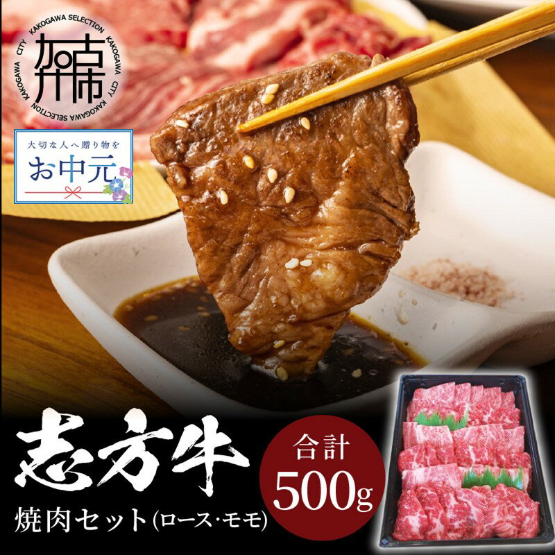 【ふるさと納税】【＼お中元熨斗対応／】【レビューキャンペーン】 志方牛焼肉セット(500g)《 国産 牛肉 牛 国産牛 焼肉 ロース モモ お手軽 おいしい お取り寄せ グルメ 志方牛 送料無料 贈答用 ギフト プレゼント 贈り物 》