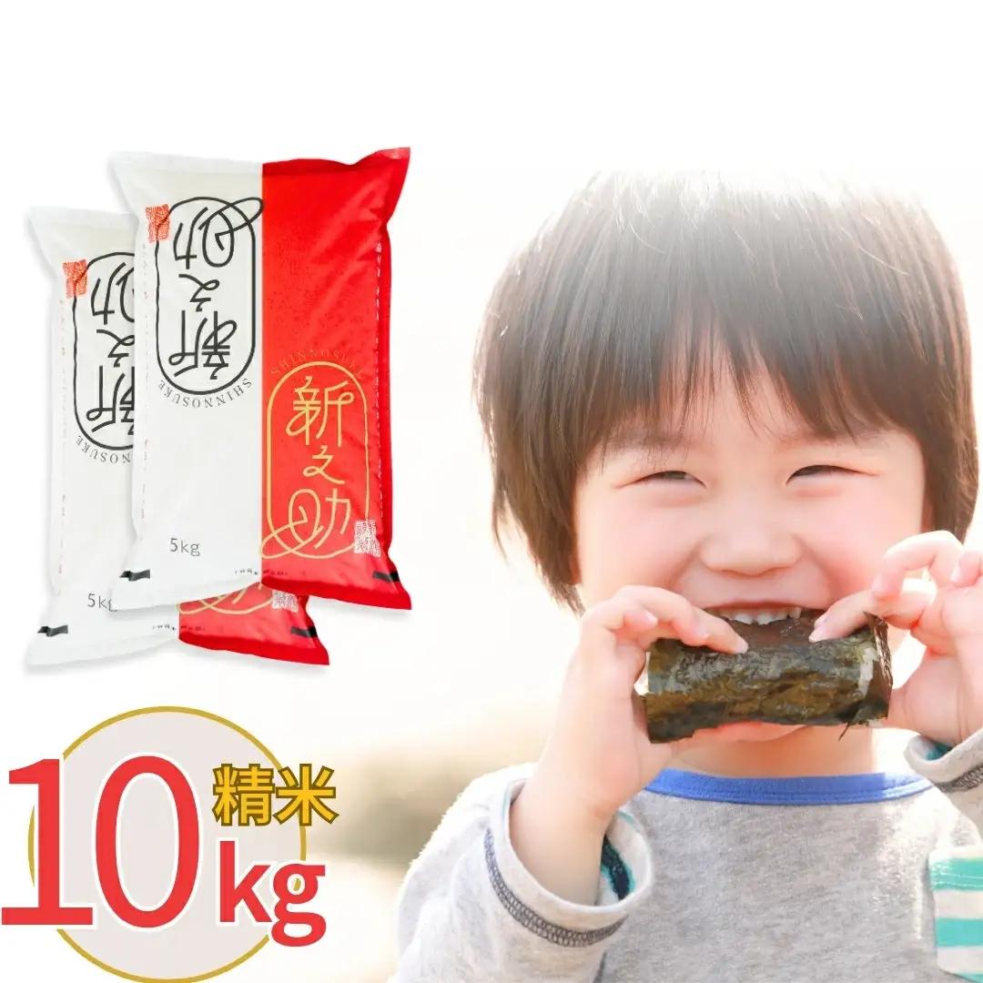 【令和7年産米】 新潟県三条市産 新之助 精米 10kg