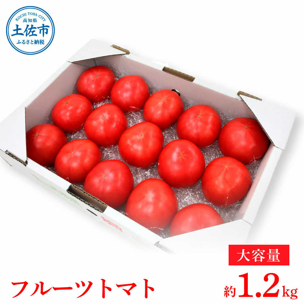 【ふるさと納税】【先行予約】お徳用フルーツトマトLサイズ 1.2kg・約15玉・Lサイズ〈2027年1月上旬〜6月上旬〉 / 糖度8度以上 フルーツトマト ふるーつとまと とまと トマト 箱詰め 甘い 濃厚【池トマト】[BQAG008]