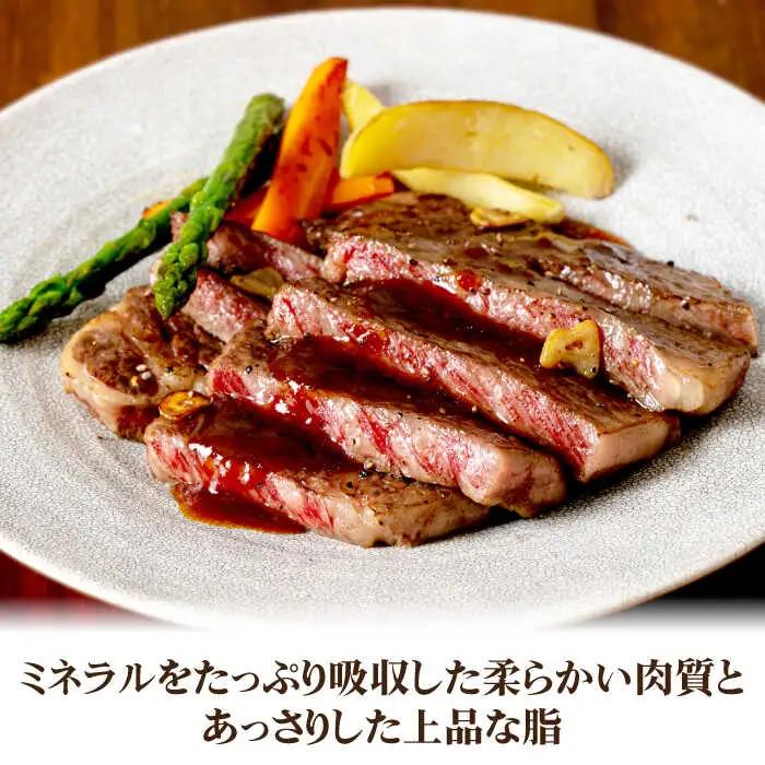 《A4-A5ランク》壱岐牛サーロインステーキ 200g×4枚 《壱岐市》【壱岐市農業協同組合】[JBO043] 冷凍配送 黒毛和牛 A5ランク 肉 牛肉 サーロイン ステーキ 焼肉 焼き肉 BBQ 赤