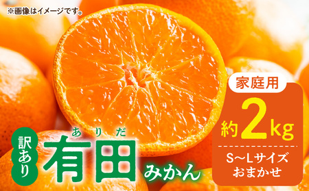 DZ6100_11_【2026年11月発送】ご家庭用 有田みかん 和歌山 S～Lサイズ 大きさお任せ 約2kg