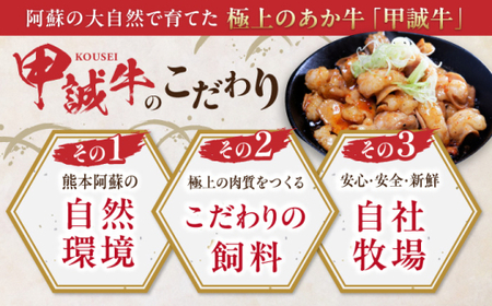 【全3回定期便】熊本和牛あか牛ホルモン 約2kg 【有限会社 三協畜産】[AYCQ072]