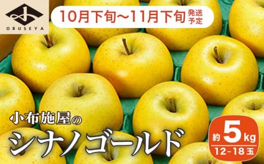 シナノゴールド 約5kg 12～18玉 ［小布施屋］ りんご 林檎 リンゴ 果物 フルーツ 令和6年産【2024年10月下旬～11月下旬発送】 ［A-10］