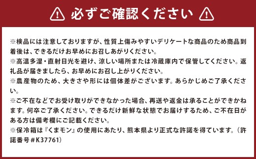 ＜ R8年熊本地震復興支援 ＞塩トマト S ～ M玉 10個 （ 約1kg ） くまモンの顔型保冷箱入り （ 白色 ） トマト とまと 野菜 やさい 塩 くまモン 保冷箱 季節限定 国産 熊本県産 冷蔵 【 2026年12月上旬～2027年3月下旬まで順次発送予定 】