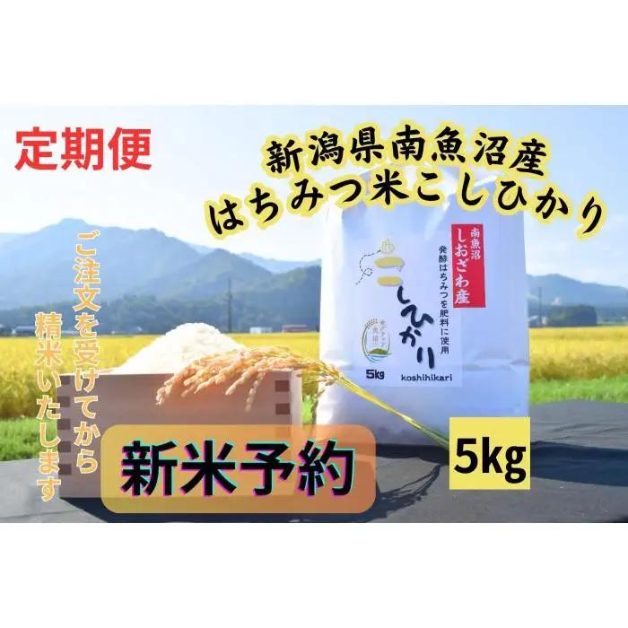 【令和8年・新米予約・定期便】新潟県南魚沼産（塩沢地区）はちみつ米コシヒカリ 5kg×６か月　※蜂蜜発酵液肥料栽培【2026年9月下旬より1ヶ月以内に順次発送予定】｜コシヒカリ