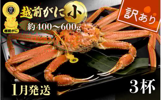 【訳あり】越前がに本場の越前町からお届け！≪浜茹で≫越前がに 小サイズ（生で約400～600g） × 3杯【雄 ズワイガニ 越前ガニ 姿 ボイル 冷蔵 かに カニ 蟹 福井県】【1月発送分】希望日指定可 備考欄に希望日をご記入ください [e49-x007_01]