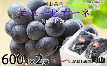 ニュー ピオーネ 約600g×2房｜  ピオーネ