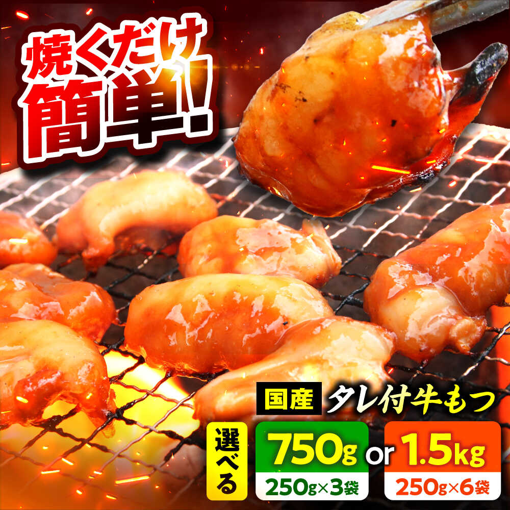 【ふるさと納税】 【小分け】 【秘伝のタレ付】 牛 もつ セット 4〜5人前 or 10人前 | 小分け 国産 味噌 もつ鍋 焼肉 ホルモン 真空 冷凍 簡単調理 グルメ 鍋 牛肉 肉 モツ モツ鍋 もつなべ 【配送不可地域：北海道・沖縄・離島】 [BFAP008]