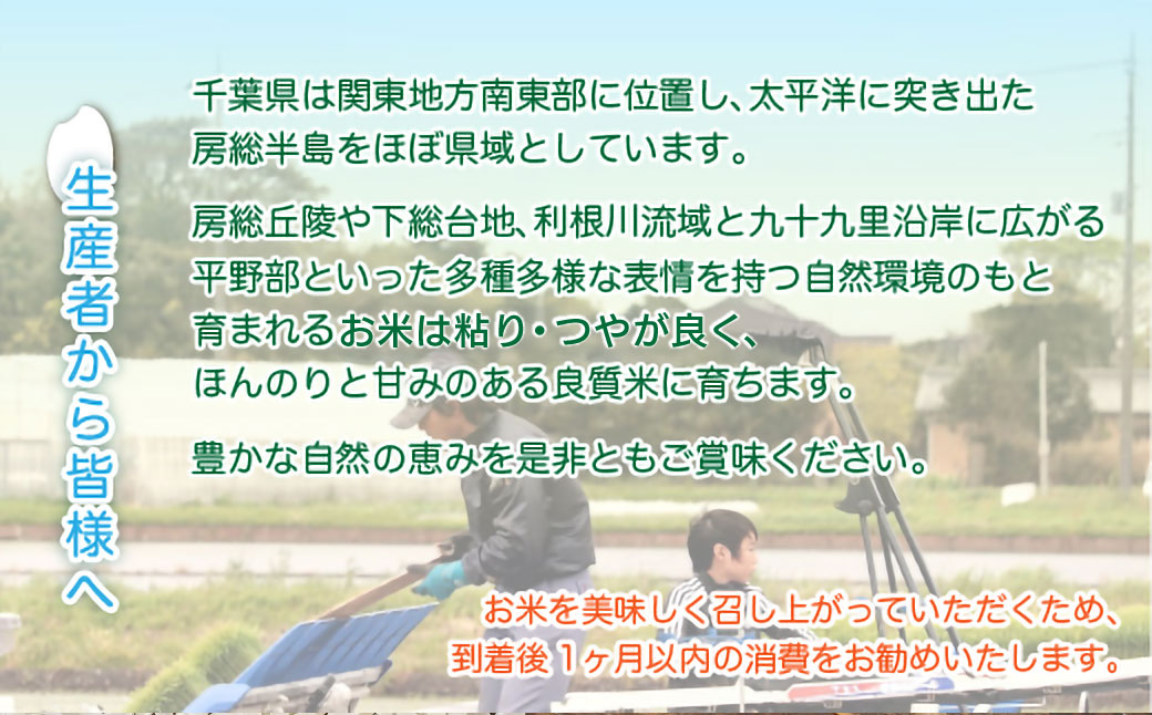 令和7年産 千葉県産コシヒカリ 精米 5kg MBAD001