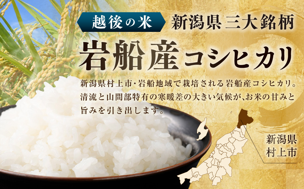 【令和7年産米】新潟県村上市岩船産 コシヒカリ10kg 1029010